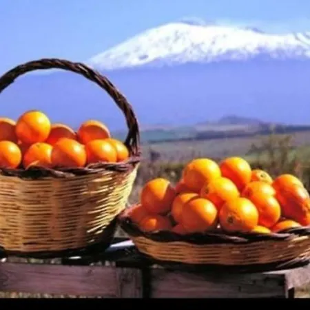 Romana *